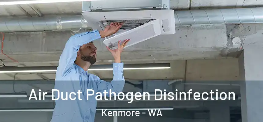 Air Duct Pathogen Disinfection Kenmore - WA