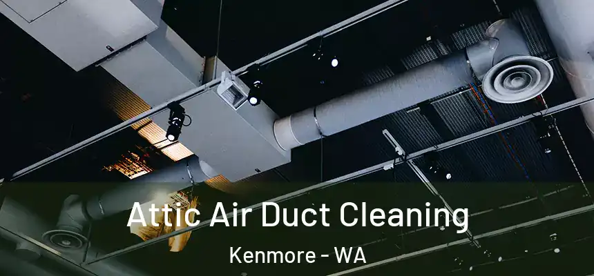  Attic Air Duct Cleaning Kenmore - WA