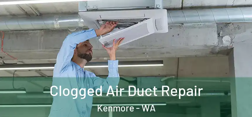  Clogged Air Duct Repair Kenmore - WA
