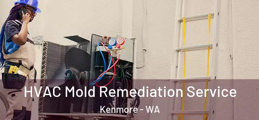  HVAC Mold Remediation Service Kenmore - WA
