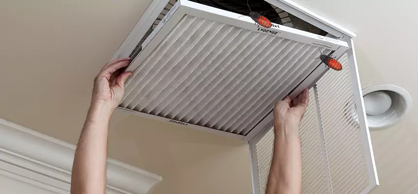 Preventive Cockroach-Proofing for Ducts in Kenmore