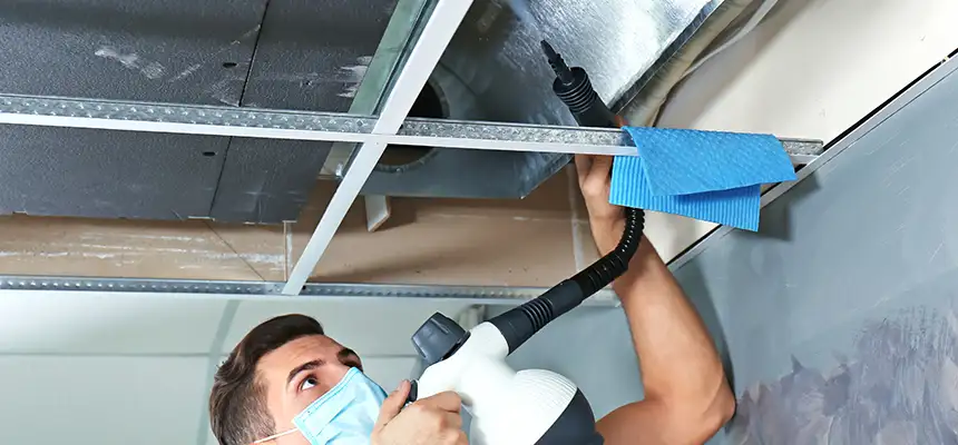 Our Air Duct Rodent Removal Services in Kenmore, WA