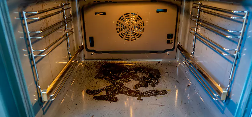 Our Dryer Vent Mold Cleaning Services in Kenmore, WA