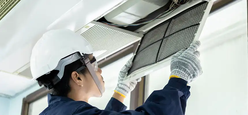 Our Lint Trap Cleaning Service Services in Kenmore, WA