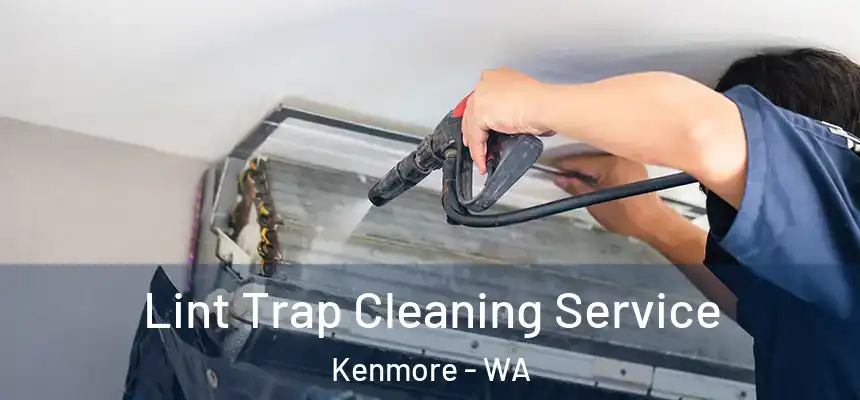 Lint Trap Cleaning Service Kenmore - WA