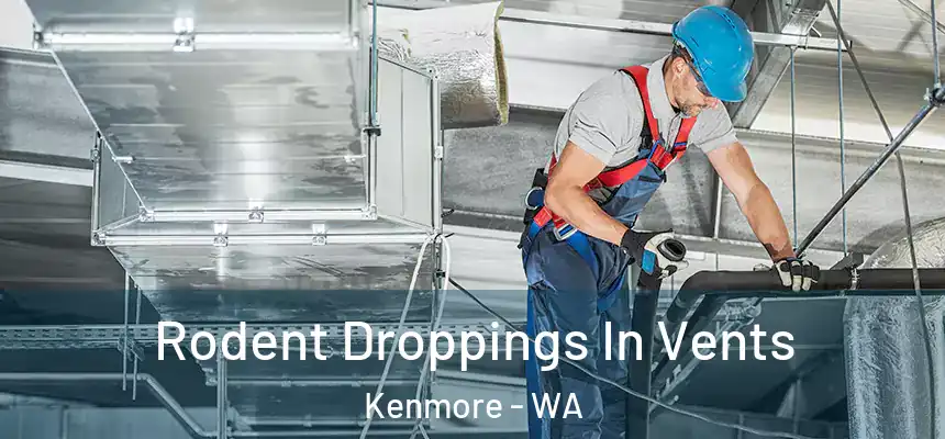  Rodent Droppings In Vents Kenmore - WA