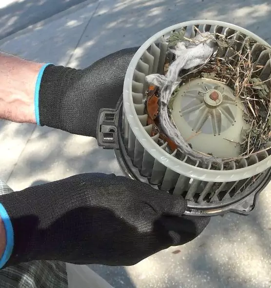 About Air Duct Mice Removal in Kenmore, WA