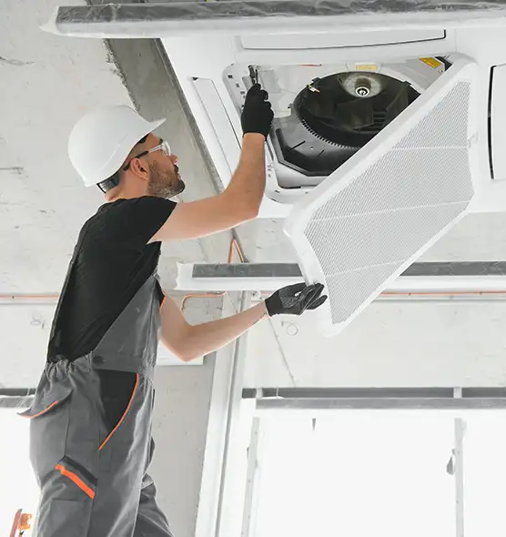 About Air Duct Rodent Removal in Kenmore, WA