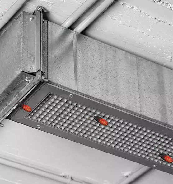 Affordable Insect Removal from Air Ducts in Kenmore, WA