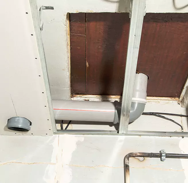 Why Homeowners & Businesses Trust Us in Kenmore, WA?