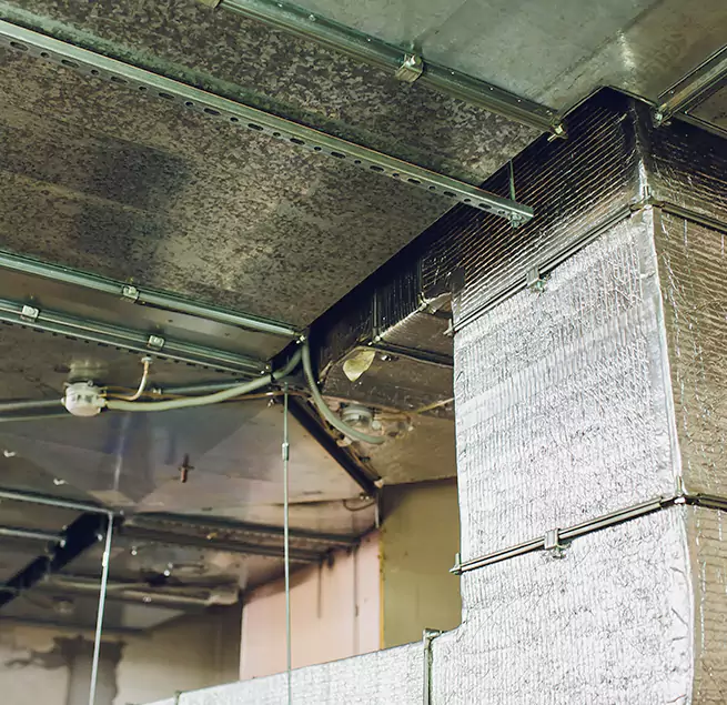 Why Homeowners & Businesses Trust Us in Kenmore, WA?