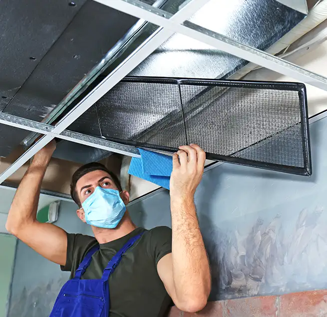 Why Homeowners & Businesses Trust Us in Kenmore, WA?