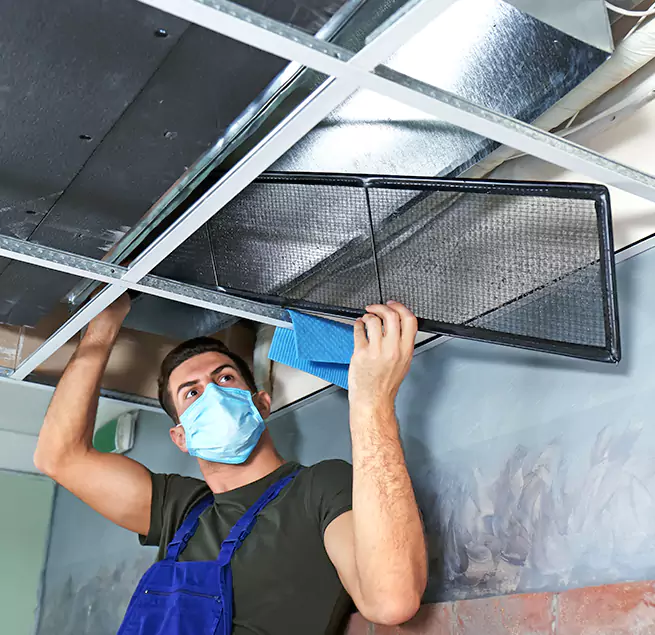 Why Homeowners & Businesses Trust Us in Kenmore, WA?