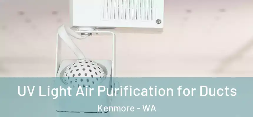  UV Light Air Purification for Ducts Kenmore - WA